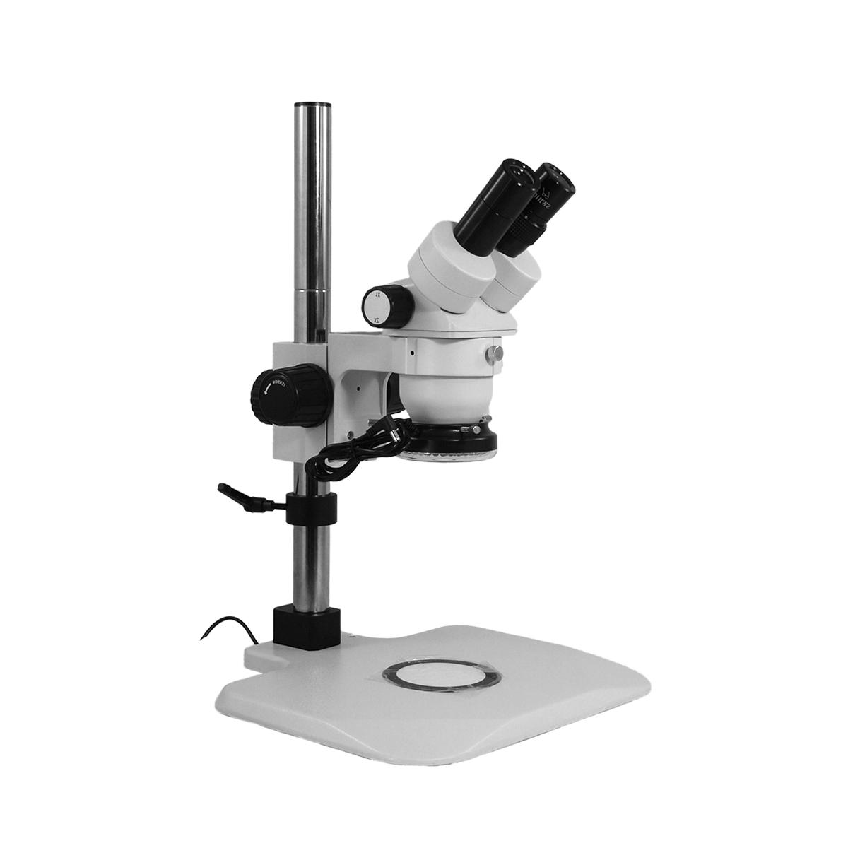 Stereo Microscope